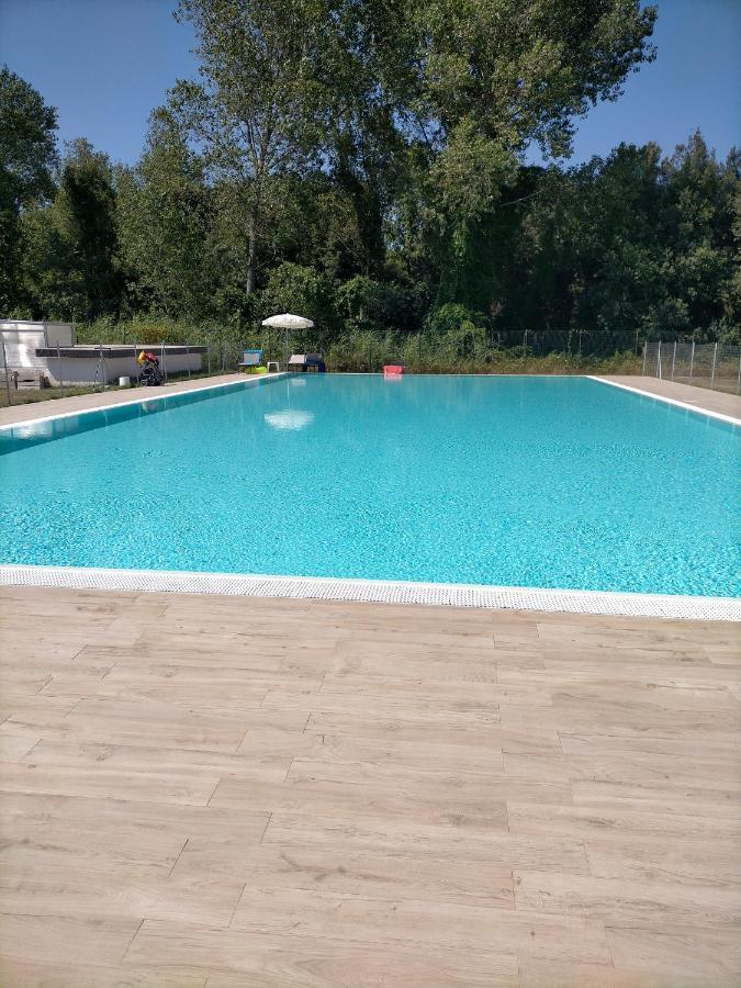 Seaside Flat With Swimming Pool And Private Parking Calambrone Exterior foto